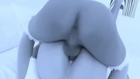 ladyboy Dream