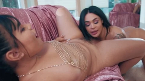 Transfixed: Transgressive Treats with Big Assets