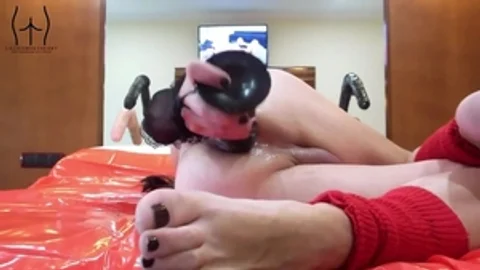 Floozyjezebelle arse Adventures An A skank Albuem V