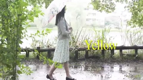 Completely Female Collection 6
